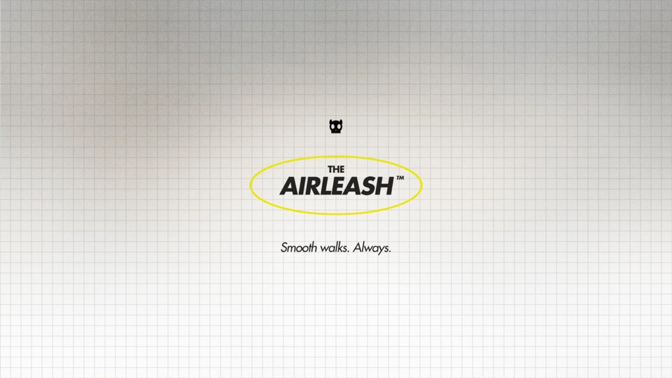 The Airleash wordmark circled in yellow over a pale grid background.