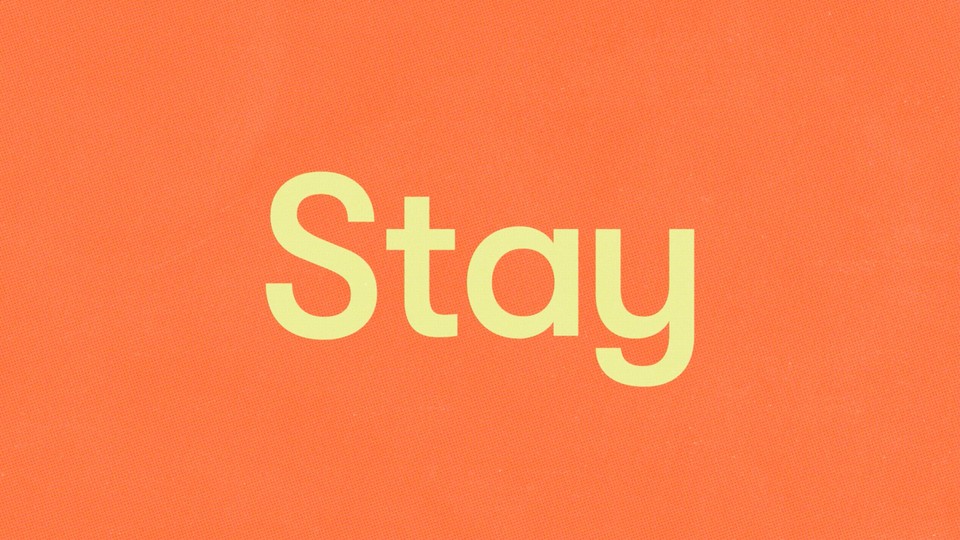 The Stay wordmark in pale yellow on an orange background.