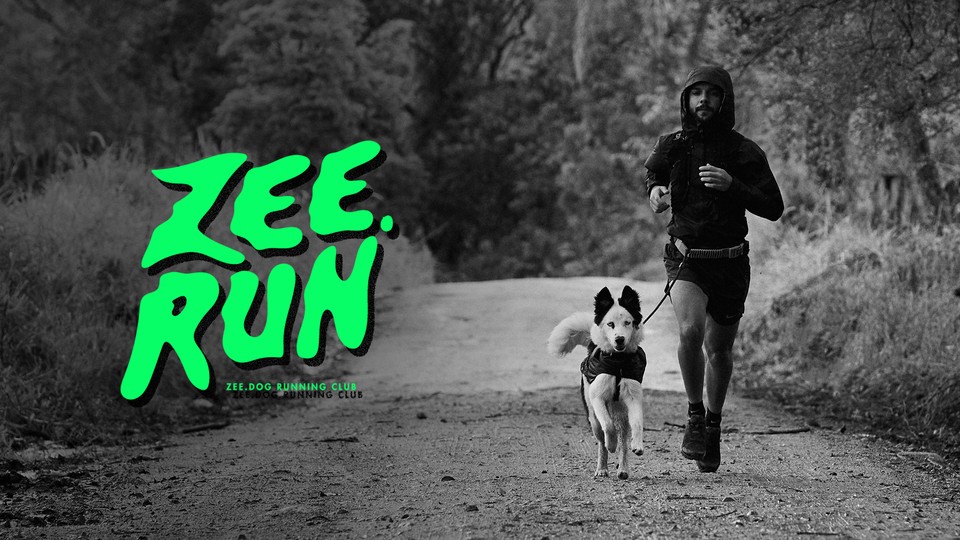 A runner and a dog on a road in black and white, alongside the bright green Zee.Run logo.